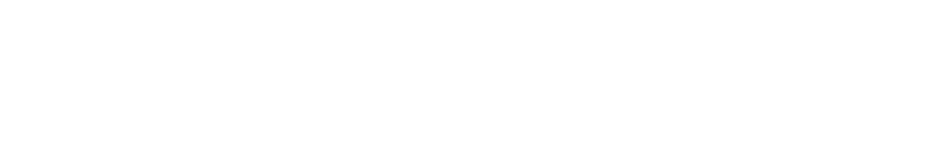 custom fx logo